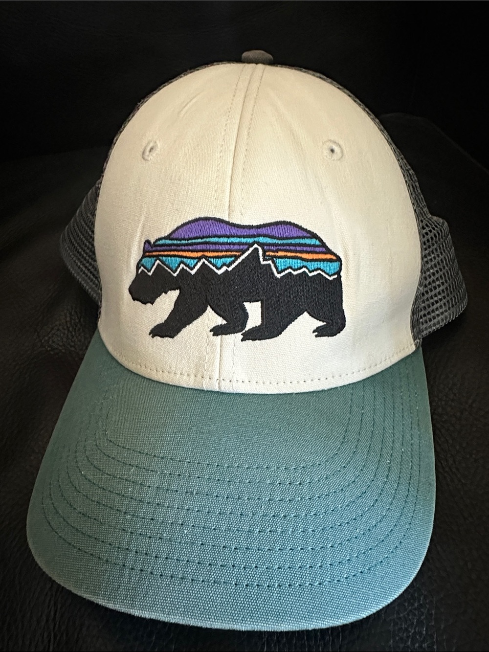 Patagonia Fitz Roy Bear Trucker Hat